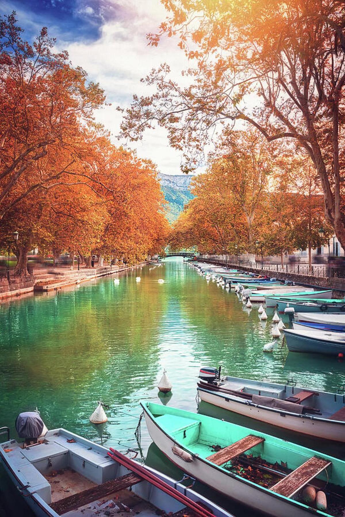 Le Coquelicot 3 Etoiles - Proche Vieille Ville, Calme & Confort Annecy Esterno foto